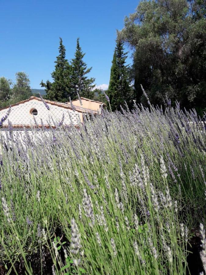 Apartment Cezanne With Heated Pool And Private Garden シャトーヌフ＝グラース エクステリア 写真